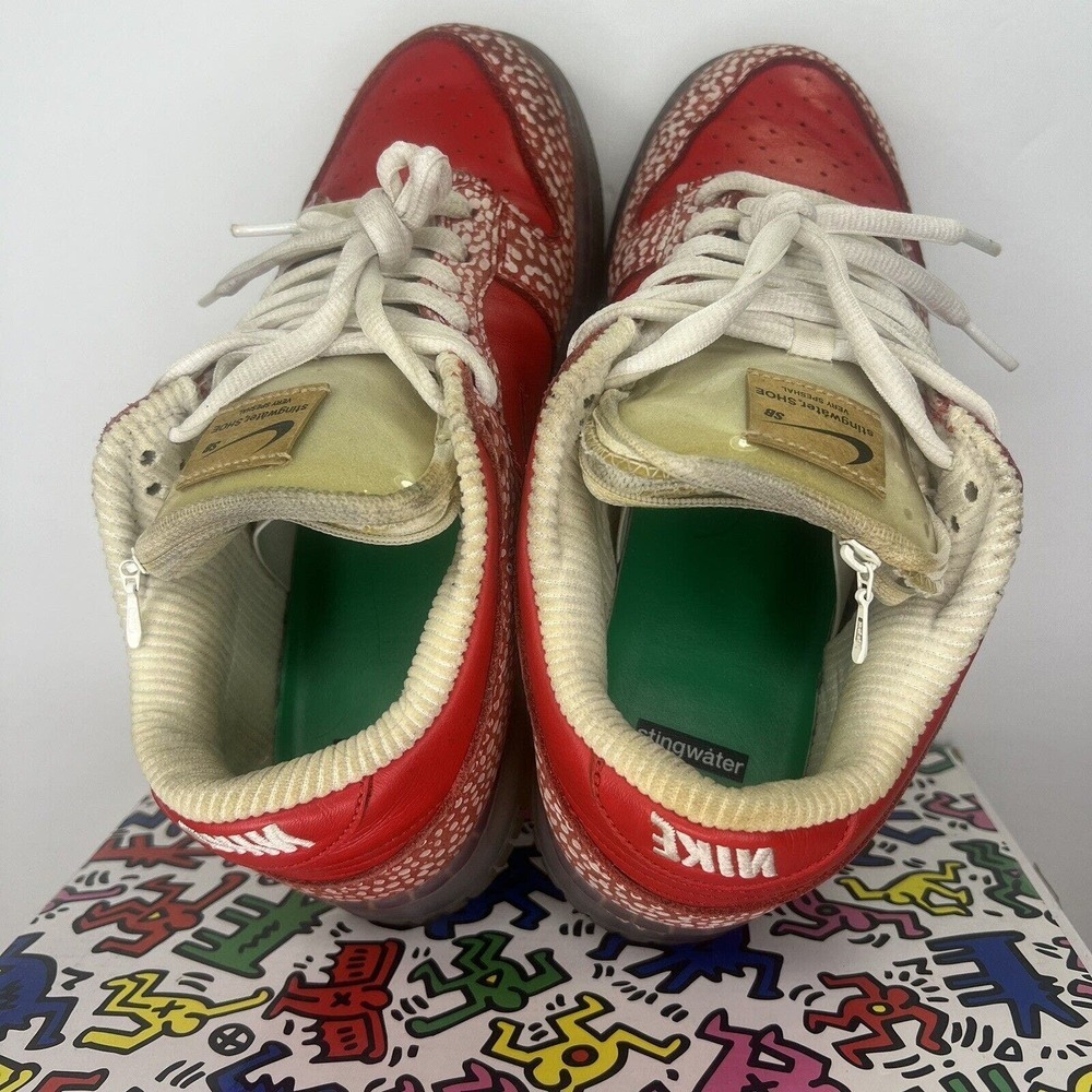Nike SB Dunk Low Stingwater Magic Mushroom Men’s Size 8 DH7650-600 OG Retro Red - Picture 10 of 16